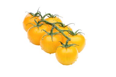 Su damlacıkları ile beyaz bir arka plan üzerinde çekilen asma yedi sarı domates