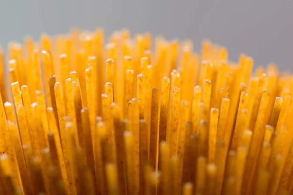 Makrobillede Enderne Hvedebrun Spaghetti - Stock-foto