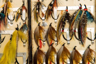 Bir flybox içinde somon flys kadeh kırpılmış