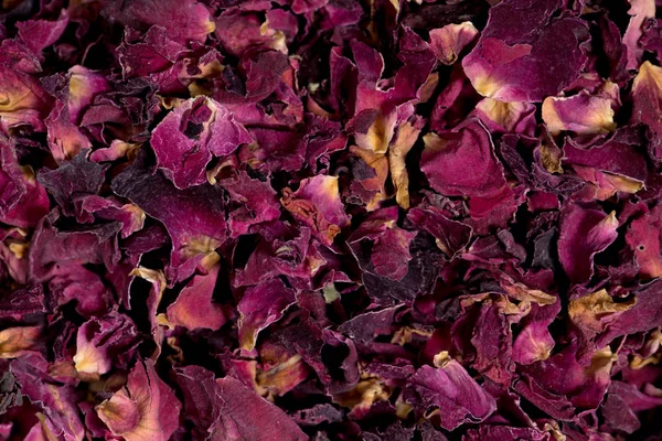 Крупный План Декоративных Красных Розовых Лепестков Роз — стоковое фото