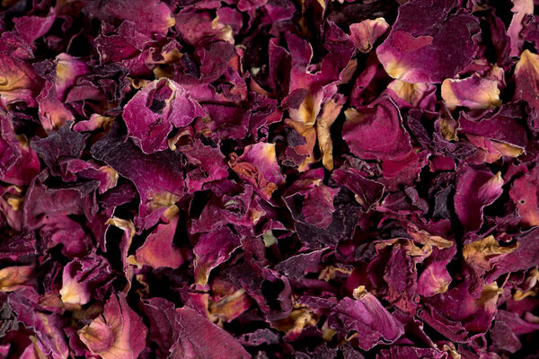 Крупный план декоративных красных розовых лепестков роз
