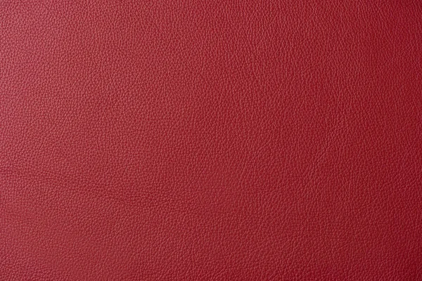 Close up of a section of a maroon leather swatch showing grain and a shaft of light across