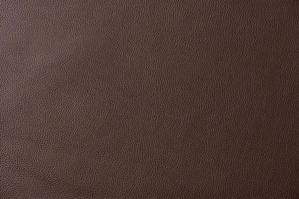 Leather swatches Images - Search Images on Everypixel
