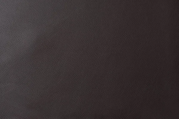 Close up of a section of a charcoal leather swatch showing grain and a shaft of light across
