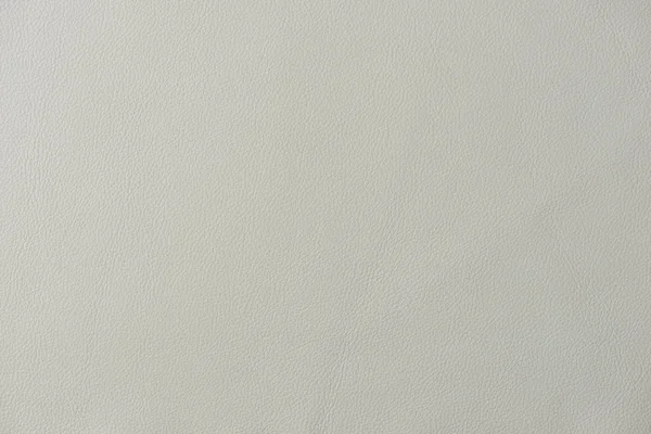 Close up of a section of a Light grey leather swatch showing grain and a shaft of light across