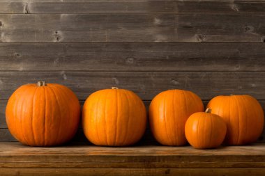 Ahşap bir rafta oturan farklı boyutlarda kabaklar