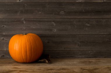 Kopya alanı ile ahşap bir rafta tek bir kabak