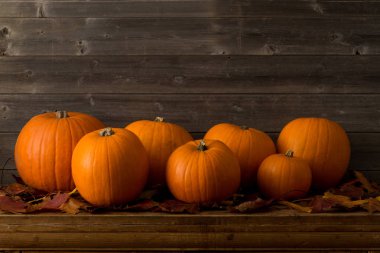 Ahşap panel arka plan ve kopyalama alanı ile kurutulmuş yaprakları nüzerinde oturan farklı boyutlarda kabaklar.