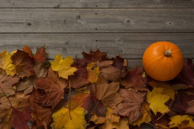 Kopya alanı ile ahşap bir panel yüzeyinde kurutulmuş akçaağaç yaprakları ve bir kabak havai çekim