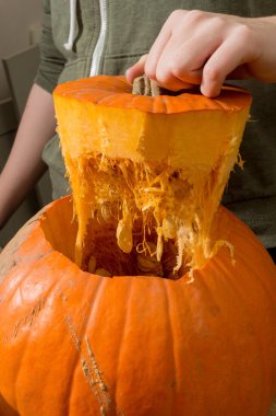 Tohumlar ve iplikçikler ile kabak kapağı bütün bir kabak çekti bağlı