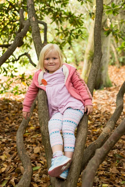 Menina Sorrindo Sentada Galhos Árvore Uma Floresta — Fotografia de Stock