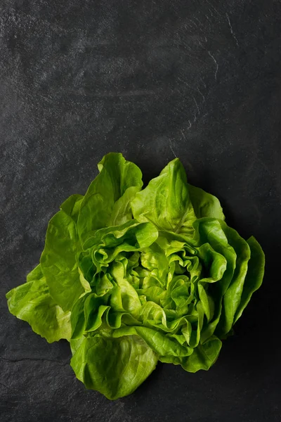 Bannerschuss von Salat auf dunkelgrauer Steinoberfläche — Stockfoto