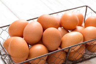 Kahverengi yumurta tavuk tel tepsisinde yakın çekim