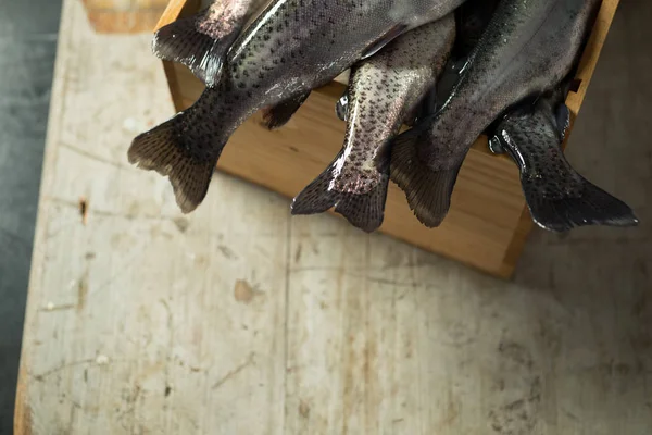 Barbatanas de cauda de truta recém-apanhada Dangling de caixa de madeira — Fotografia de Stock