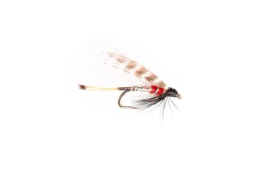 Cut Out of Insect-Looking Trout Fly clipart
