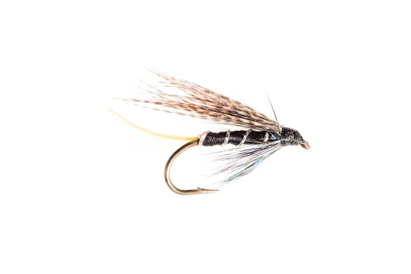 Cut Out of a Trout Fly — Stock Photo, Image