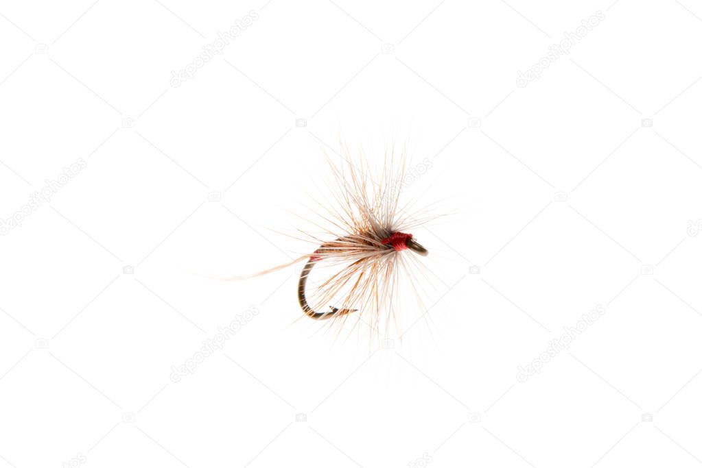 Trout Fly or Fishing Lure Cut Out