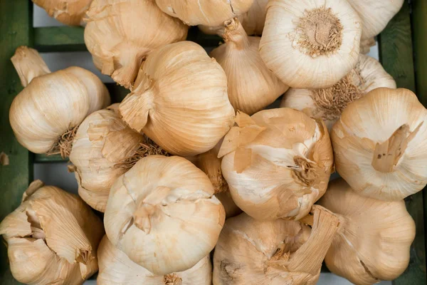 Ramo de ajo entero en jaula para fondos — Foto de Stock