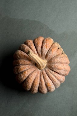 Bütün Squash veya kabak kopya alanı ile giderleri