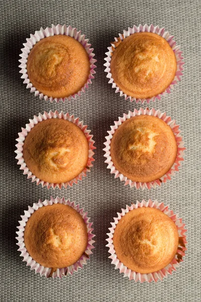 Colpo in testa di sei cupcake senza glassa — Foto Stock