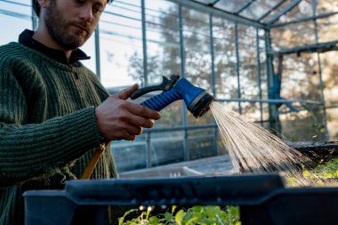 Adam su hortumu kullanarak fide kutusunun su püskürtme