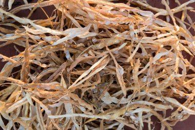 Kuru harcanan fasulye Pod kabukları 