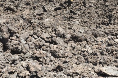 Sahil plaj kaya yüzeyi arka plan için keskin