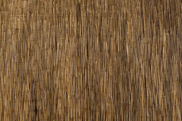 Sombra de bambú primer plano para fondos — Foto de Stock