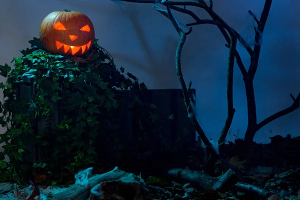 Świecące Jack-o-Lantern na liściach z miejsca kopii — Zdjęcie stockowe