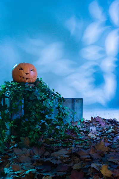 Zucca di Halloween con spazio di copia — Foto Stock