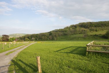 Toprak yola bakan tepeler ve çayır