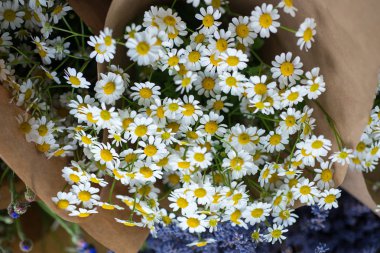 Büyük kağıt ambalaj içinde papatya papatyalar buket