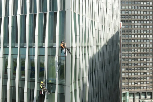 High-Risk Skyscraper Window Cleaning by Two Men on Harnesses