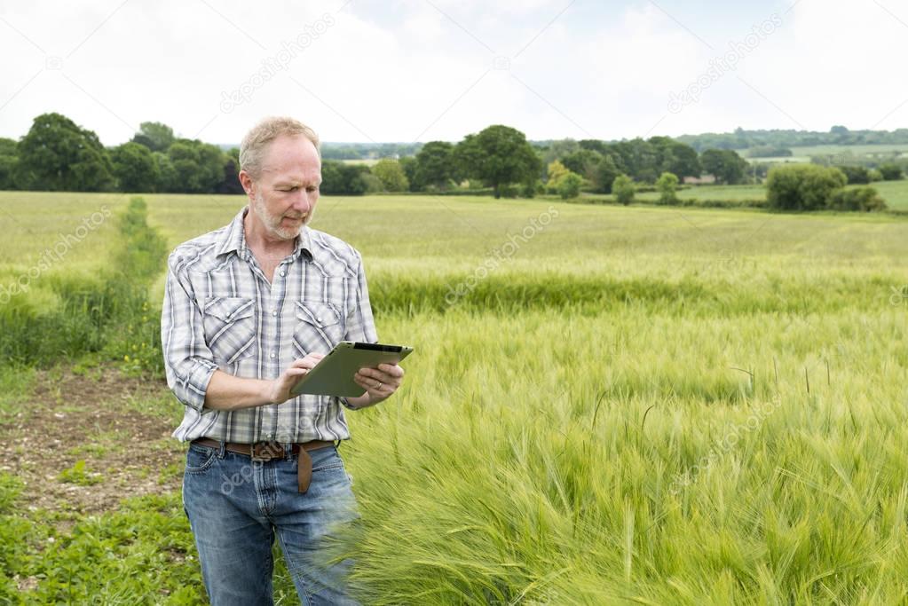 Man Looking on a Tablet Computer in a Wheat Field