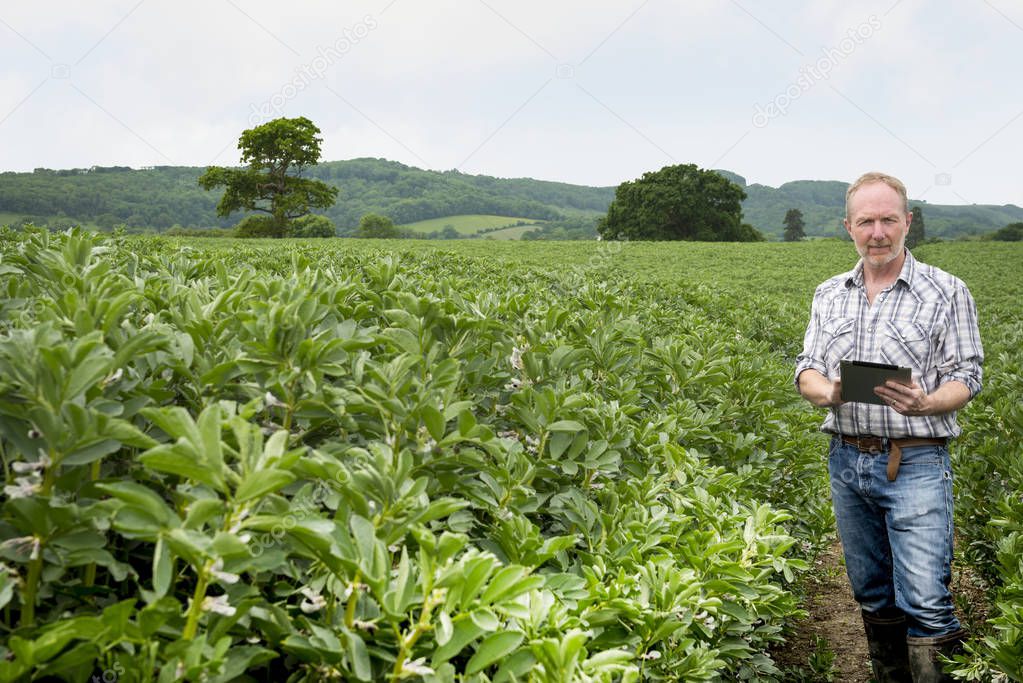 Portrait of Man Holding Mobile Device by Dense Greenery