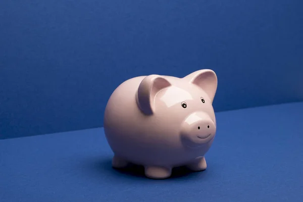 Piggy Bank on Blue Floor and Wall Background Stock Photo