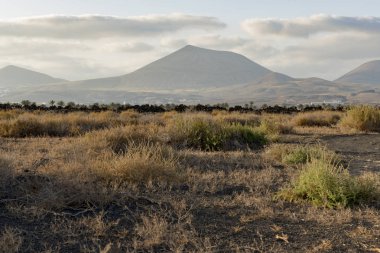 Montana Roja, Lanzarote