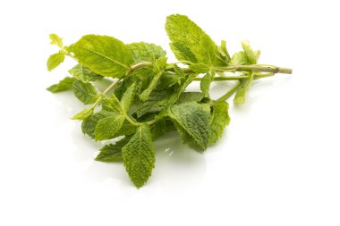 Beyaz arkaplanda izole edilmiş nane yaprakları