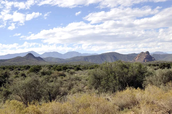 Bosque grueso y cordillera bajo cielo azul nublado —  Fotos de Stock