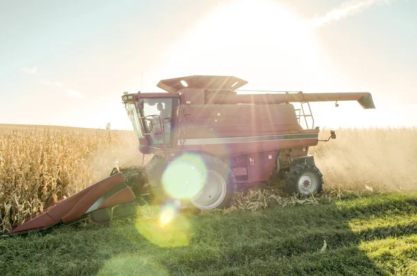 Harvester in a Corn Field with Lens Flare