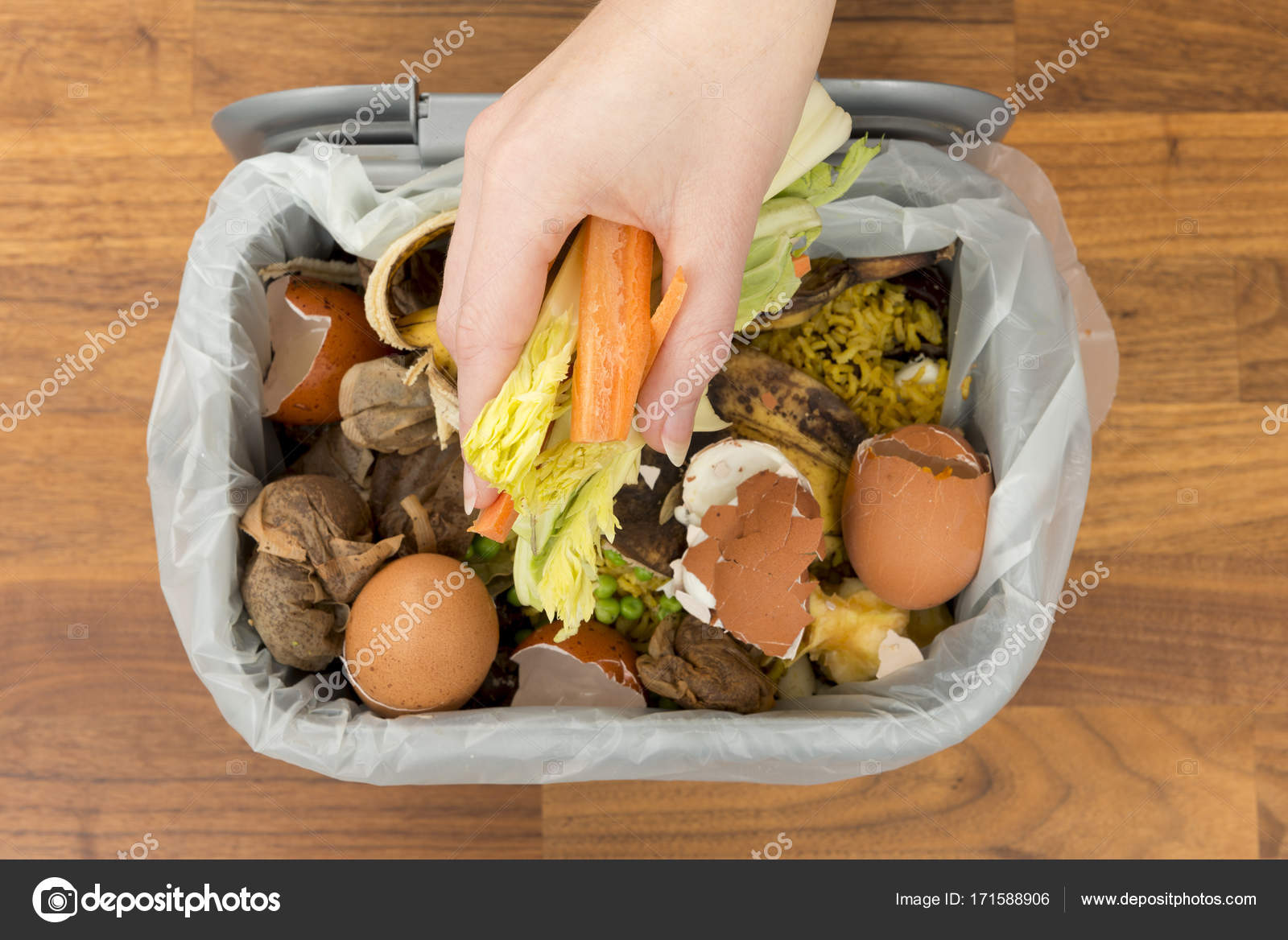 остатки еды. пищевые и растительные отходы. органические пищевые отходы. остатки еды. недоеденная еда.