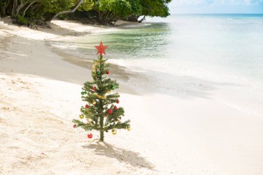 Süslenen Noel ağacı tarafından Sea Shore ayakta