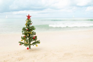 Kum okyanus ve arka planda yelkenli ile Noel ağacına