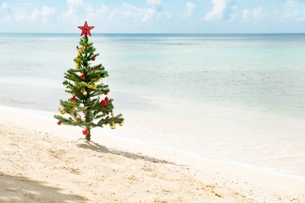 Arbre de Noël debout près d'une plage ensoleillée — Photo