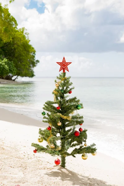 Versierd kerstboom geplant door de zee kust — Stockfoto