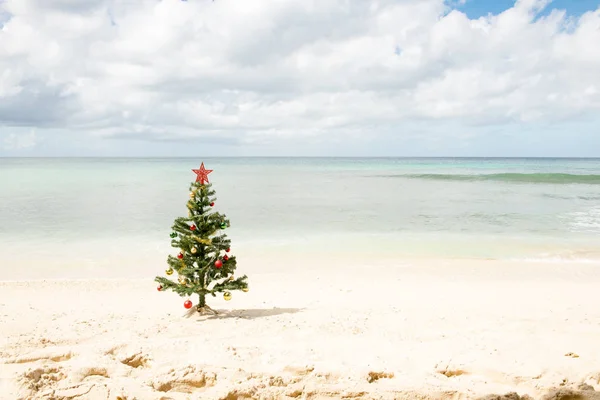 Christmas Tree Standing by the Sea Shore Under Cloudy Skies — Stock Photo, Image