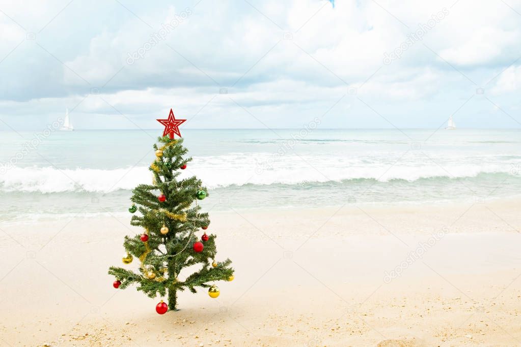 Christmas Tree on Beach with Sailboats in Background