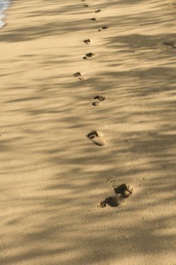 Beach Kumdaki hattı