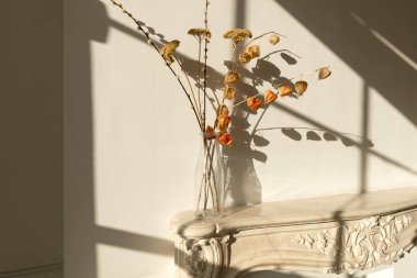 Cam vazo gölgesi duvara vuran mühürlü Şömine Şömine üzerinde