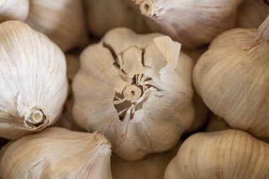 Sarımsak Ampulü Ucunu Kapat